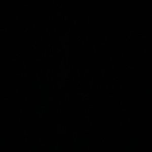 Meet your Posher, Roger